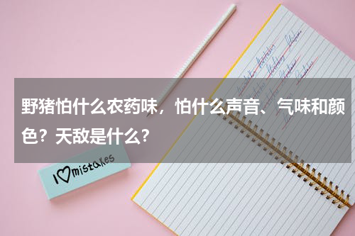 野猪怕什么农药味，怕什么声音、气味和颜色？天敌是什么？