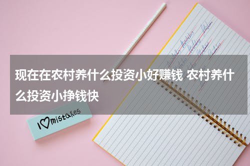 现在在农村养什么投资小好赚钱 农村养什么投资小挣钱快