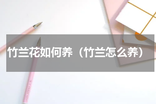竹兰花如何养（竹兰怎么养）