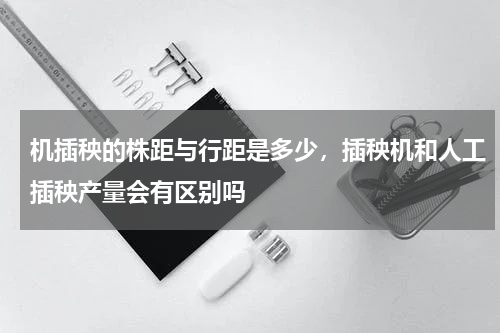 机插秧的株距与行距是多少，插秧机和人工插秧产量会有区别吗
