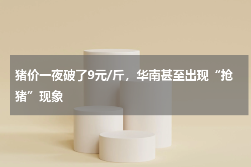 猪价一夜破了9元/斤，华南甚至出现“抢猪”现象