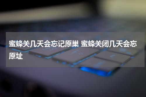 蜜蜂关几天会忘记原巢 蜜蜂关闭几天会忘原址