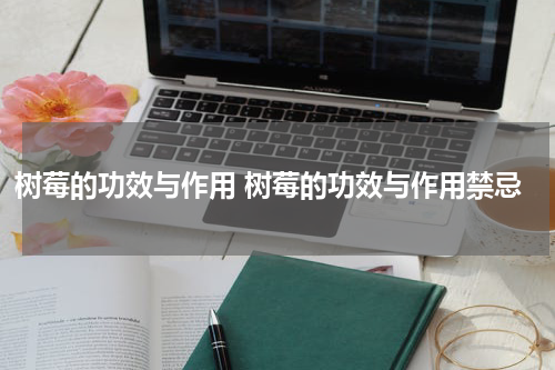 树莓的功效与作用 树莓的功效与作用禁忌