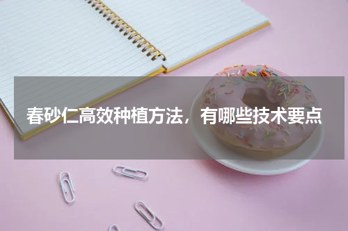 春砂仁高效种植方法，有哪些技术要点