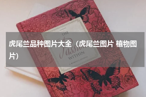 虎尾兰品种图片大全（虎尾兰图片 植物图片）