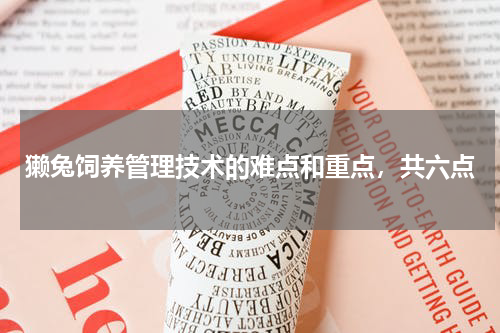 獭兔饲养管理技术的难点和重点，共六点