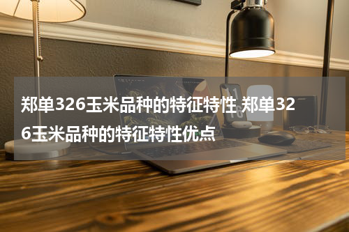 郑单326玉米品种的特征特性 郑单326玉米品种的特征特性优点