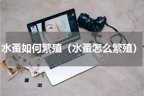 水蚤如何繁殖（水蚤怎么繁殖）