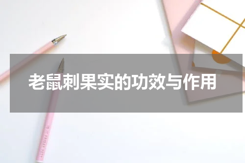 老鼠刺果实的功效与作用
