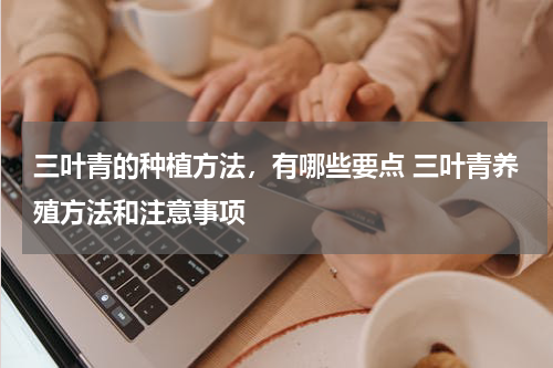 三叶青的种植方法，有哪些要点 三叶青养殖方法和注意事项