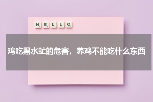 鸡吃黑水虻的危害，养鸡不能吃什么东西