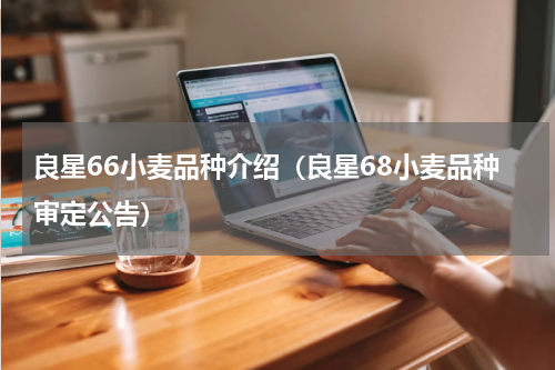 良星66小麦品种介绍（良星68小麦品种审定公告）