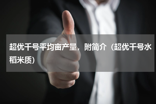 超优千号平均亩产量，附简介（超优千号水稻米质）
