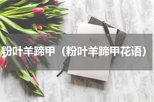粉叶羊蹄甲（粉叶羊蹄甲花语）