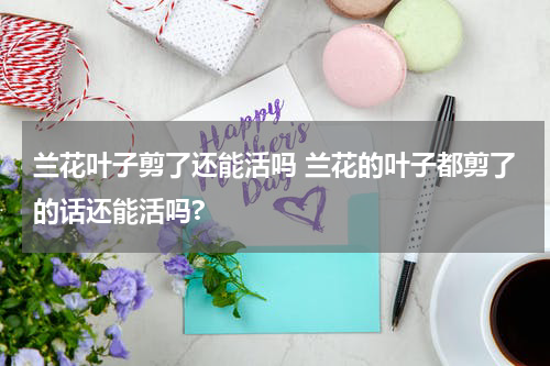 兰花叶子剪了还能活吗 兰花的叶子都剪了的话还能活吗?