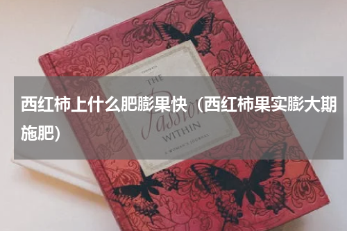 西红柿上什么肥膨果快（西红柿果实膨大期施肥）