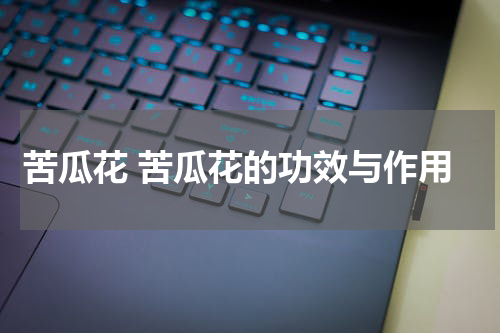 苦瓜花 苦瓜花的功效与作用