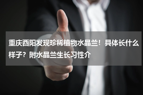 重庆酉阳发现珍稀植物水晶兰！具体长什么样子？附水晶兰生长习性介