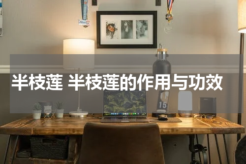半枝莲 半枝莲的作用与功效