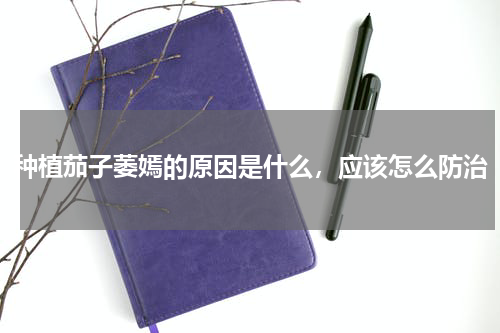 种植茄子萎嫣的原因是什么，应该怎么防治