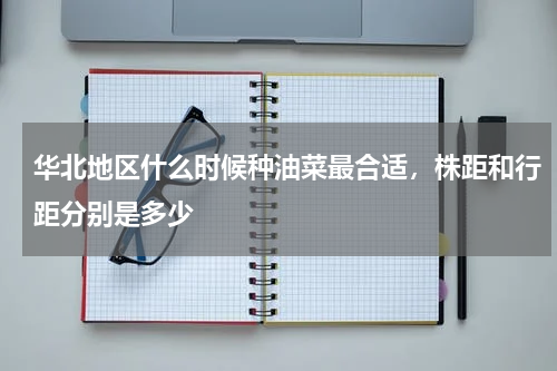 华北地区什么时候种油菜最合适，株距和行距分别是多少