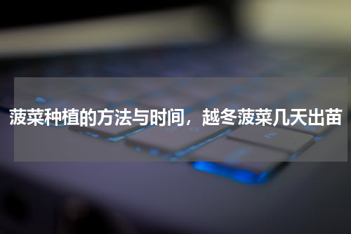 菠菜种植的方法与时间，越冬菠菜几天出苗