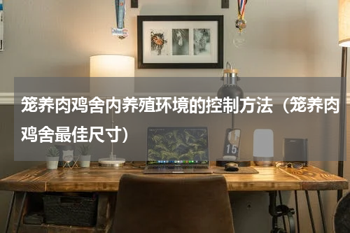 笼养肉鸡舍内养殖环境的控制方法（笼养肉鸡舍最佳尺寸）