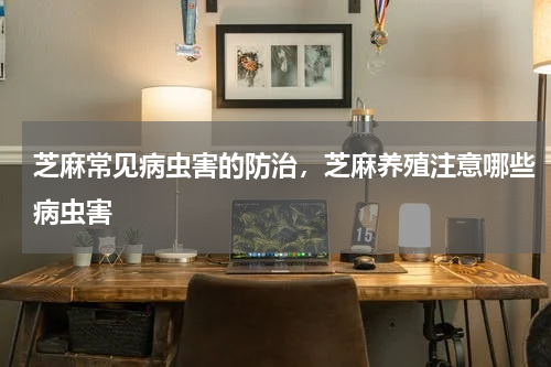 芝麻常见病虫害的防治，芝麻养殖注意哪些病虫害