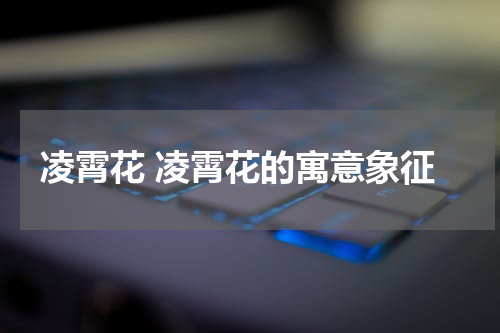 凌霄花 凌霄花的寓意象征