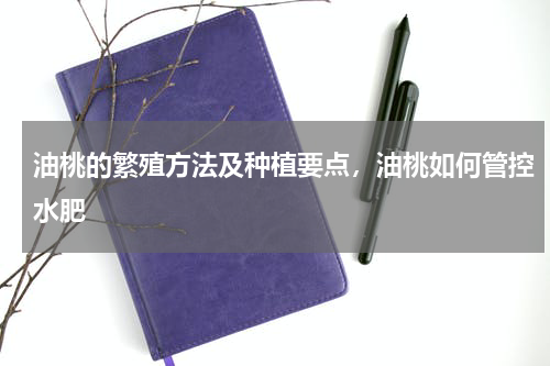 油桃的繁殖方法及种植要点，油桃如何管控水肥