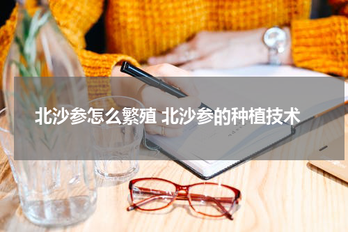 北沙参怎么繁殖 北沙参的种植技术