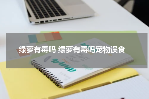 绿萝有毒吗 绿萝有毒吗宠物误食