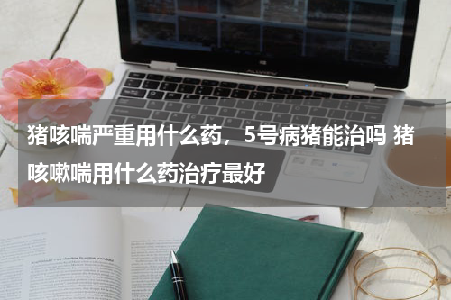 猪咳喘严重用什么药，5号病猪能治吗 猪咳嗽喘用什么药治疗最好