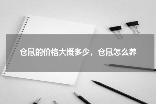 仓鼠的价格大概多少，仓鼠怎么养