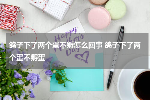 鸽子下了两个蛋不孵怎么回事 鸽子下了两个蛋不孵蛋