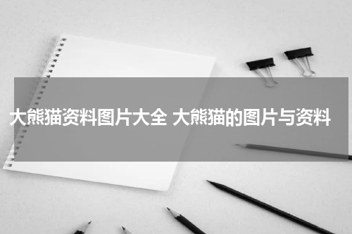 大熊猫资料图片大全 大熊猫的图片与资料