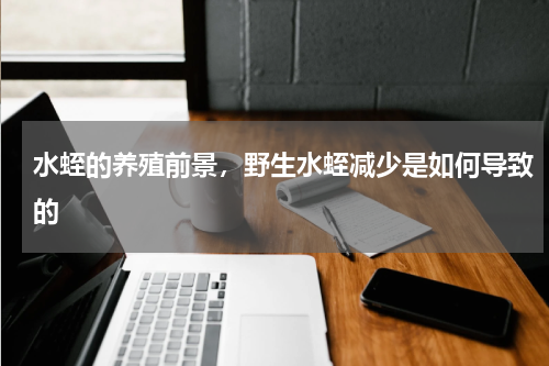 水蛭的养殖前景，野生水蛭减少是如何导致的