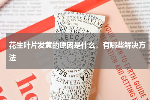花生叶片发黄的原因是什么，有哪些解决方法