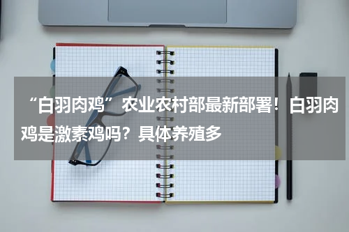 “白羽肉鸡”农业农村部最新部署！白羽肉鸡是激素鸡吗？具体养殖多