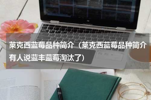 莱克西蓝莓品种简介（莱克西蓝莓品种简介有人说蓝丰蓝莓淘汰了）