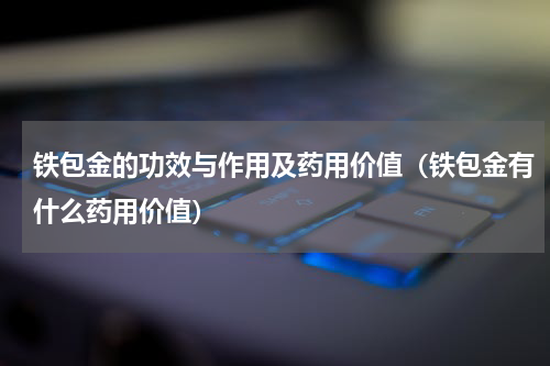 铁包金的功效与作用及药用价值（铁包金有什么药用价值）