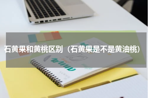 石黄果和黄桃区别（石黄果是不是黄油桃）