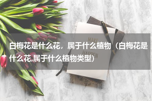 白梅花是什么花，属于什么植物（白梅花是什么花,属于什么植物类型）