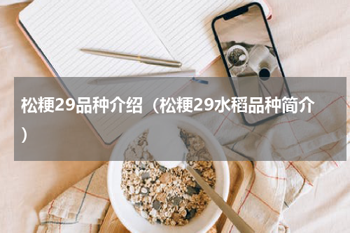 松粳29品种介绍（松粳29水稻品种简介）