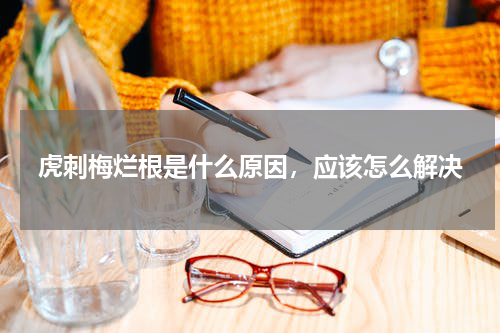 虎刺梅烂根是什么原因，应该怎么解决