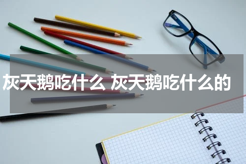 灰天鹅吃什么 灰天鹅吃什么的