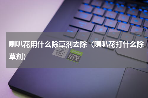 喇叭花用什么除草剂去除（喇叭花打什么除草剂）