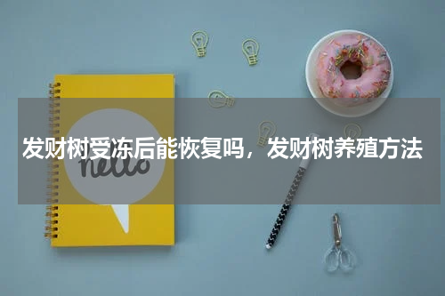 发财树受冻后能恢复吗，发财树养殖方法