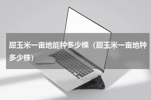 甜玉米一亩地能种多少棵（甜玉米一亩地种多少株）