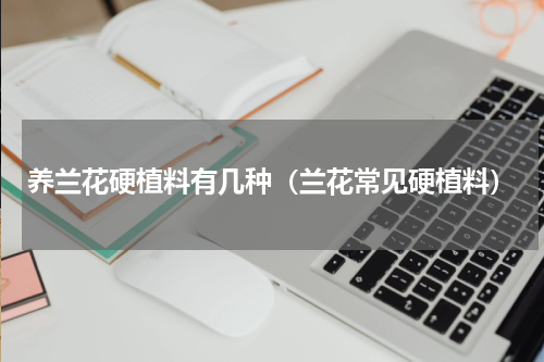 养兰花硬植料有几种（兰花常见硬植料）